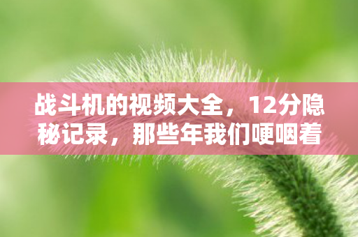 战斗机的视频大全,12分隐秘记录,那些年我们哽咽着追过的战斗机视频 战斗机的视频大全,12分隐秘记录,那些年我们哽咽着追过的战斗机视频