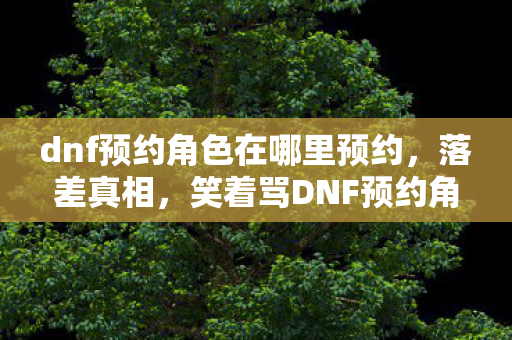 dnf预约角色在哪里预约,落差真相,笑着骂DNF预约角色烂,笑着笑着却哭了 dnf预约角色在哪里预约,落差真相,笑着骂DNF预约角色烂,笑着笑着却哭了