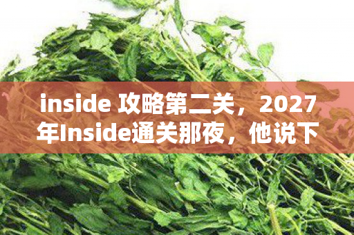 inside 攻略第二关,2027年Inside通关那夜,他说下次见,却让我的鼻子一酸 inside 攻略第二关,2027年Inside通关那夜,他说下次见,却让我的鼻子一酸