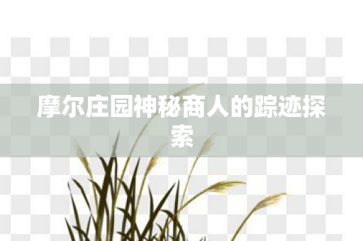 摩尔庄园神秘商人的踪迹探索 摩尔庄园神秘商人的踪迹探索