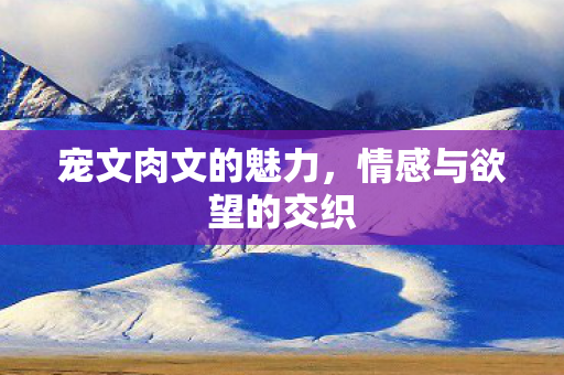 宠文肉文的魅力，情感与欲望的交织