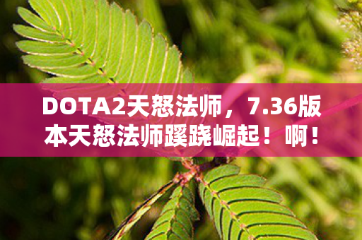 DOTA2天怒法师,7.36版本天怒法师蹊跷崛起!啊!这玩法变迁太震撼! DOTA2天怒法师,7.36版本天怒法师蹊跷崛起!啊!这玩法变迁太震撼!