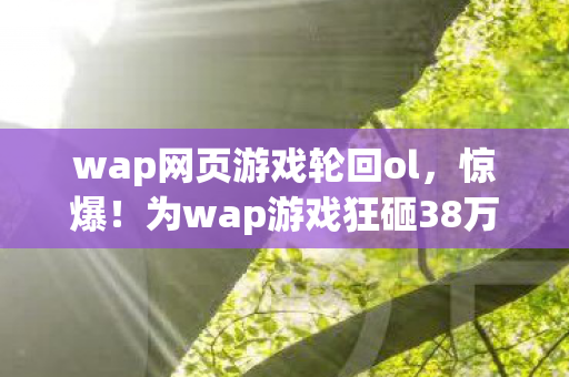 wap网页游戏轮回ol,惊爆!为wap游戏狂砸38万,老婆怒签离婚协议,背后隐情吓你一跳! wap网页游戏轮回ol,惊爆!为wap游戏狂砸38万,老婆怒签离婚协议,背后隐情吓你一跳!