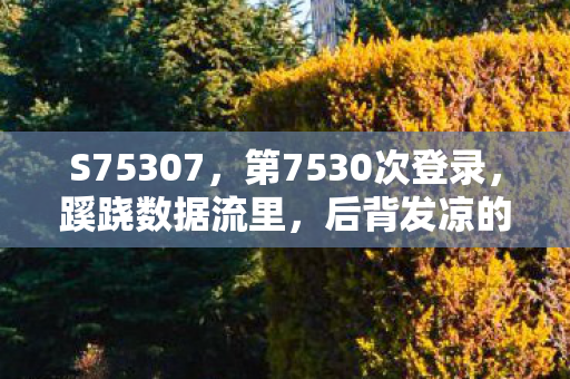 S75307,第7530次登录,蹊跷数据流里,后背发凉的十年逃亡真相 S75307,第7530次登录,蹊跷数据流里,后背发凉的十年逃亡真相