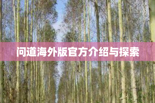 问道海外版官方介绍与探索