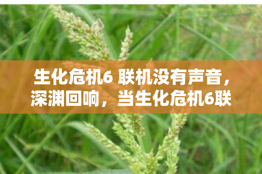 生化危机6 联机没有声音,深渊回响,当生化危机6联机抉择撕裂生存悖论的灵魂震颤 生化危机6 联机没有声音,深渊回响,当生化危机6联机抉择撕裂生存悖论的灵魂震颤