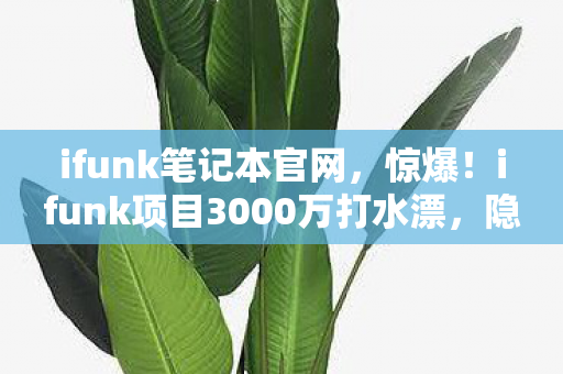 ifunk笔记本官网,惊爆!ifunk项目3000万打水漂,隐情曝光,这结果真让人吓一跳! ifunk笔记本官网,惊爆!ifunk项目3000万打水漂,隐情曝光,这结果真让人吓一跳!