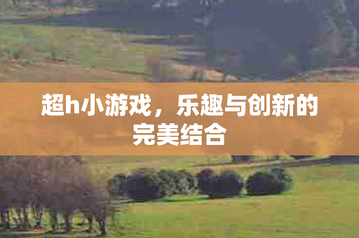 超h小游戏，乐趣与创新的完美结合