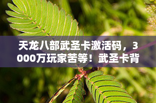 天龙八部武圣卡激活码,3000万玩家苦等!武圣卡背后竟藏着游戏人的十年心酸泪 天龙八部武圣卡激活码,3000万玩家苦等!武圣卡背后竟藏着游戏人的十年心酸泪
