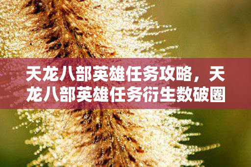 天龙八部英雄任务攻略，天龙八部英雄任务衍生数破圈！败家玩家竟用周边堆出意想不到人生