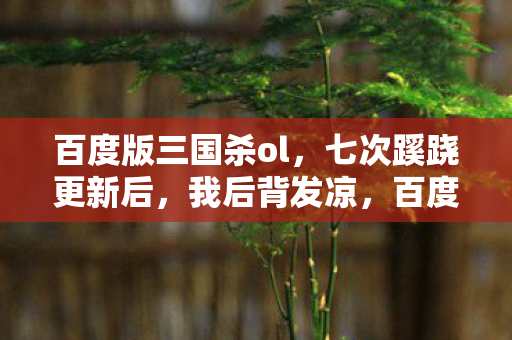 百度版三国杀ol,七次蹊跷更新后,我后背发凉,百度版三国杀的温柔陷阱 百度版三国杀ol,七次蹊跷更新后,我后背发凉,百度版三国杀的温柔陷阱