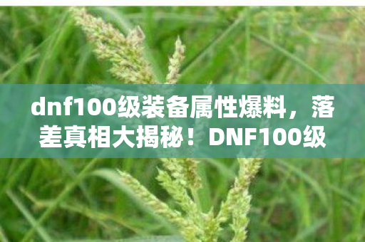 dnf100级装备属性爆料,落差真相大揭秘!DNF100级,笑着笑着,眼泪却悄然滑落 dnf100级装备属性爆料,落差真相大揭秘!DNF100级,笑着笑着,眼泪却悄然滑落