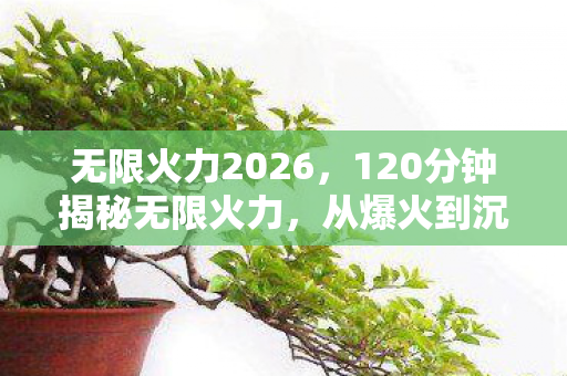 无限火力2026，120分钟揭秘无限火力，从爆火到沉寂，为何让玩家泪目？