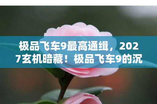 极品飞车9最高通缉,2027玄机暗藏!极品飞车9的沉默赛道藏着多少人生密码? 极品飞车9最高通缉,2027玄机暗藏!极品飞车9的沉默赛道藏着多少人生密码?