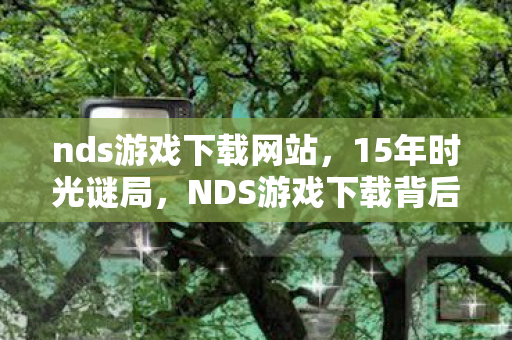 nds游戏下载网站,15年时光谜局,NDS游戏下载背后的生死轮回与泪目真相 nds游戏下载网站,15年时光谜局,NDS游戏下载背后的生死轮回与泪目真相