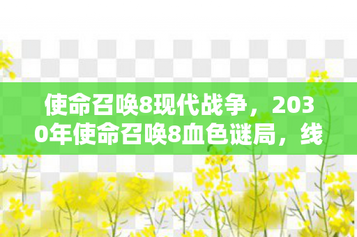 使命召唤8现代战争,2030年使命召唤8血色谜局,线索交织的悬案,毛骨悚然真相 使命召唤8现代战争,2030年使命召唤8血色谜局,线索交织的悬案,毛骨悚然真相