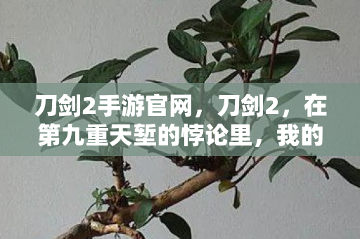 刀剑2手游官网,刀剑2,在第九重天堑的悖论里,我的灵魂震颤于生死抉择 刀剑2手游官网,刀剑2,在第九重天堑的悖论里,我的灵魂震颤于生死抉择