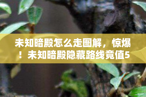 未知暗殿怎么走图解,惊爆!未知暗殿隐藏路线竟值50万?内部争吵内幕吓你一跳! 未知暗殿怎么走图解,惊爆!未知暗殿隐藏路线竟值50万?内部争吵内幕吓你一跳!