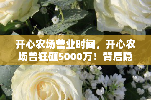 开心农场营业时间,开心农场曾狂砸5000万!背后隐情曝光,结果让人吓一跳! 开心农场营业时间,开心农场曾狂砸5000万!背后隐情曝光,结果让人吓一跳!