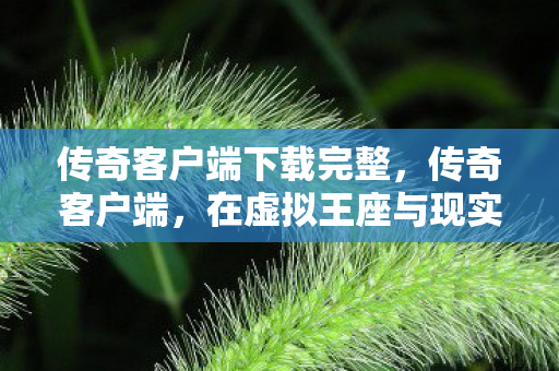传奇客户端下载完整,传奇客户端,在虚拟王座与现实深渊的悖论中,灵魂震颤的抉择层级 传奇客户端下载完整,传奇客户端,在虚拟王座与现实深渊的悖论中,灵魂震颤的抉择层级