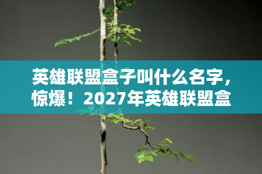 英雄联盟盒子叫什么名字,惊爆!2027年英雄联盟盒子竟藏3大逆天功能,玩家集体沸腾! 英雄联盟盒子叫什么名字,惊爆!2027年英雄联盟盒子竟藏3大逆天功能,玩家集体沸腾!