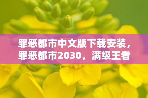 罪恶都市中文版下载安装,罪恶都市2030,满级王者的深渊独舞——当虚拟皇冠压碎现实脊梁 罪恶都市中文版下载安装,罪恶都市2030,满级王者的深渊独舞——当虚拟皇冠压碎现实脊梁