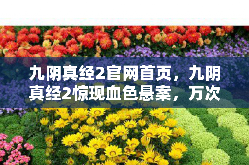 九阴真经2官网首页,九阴真经2惊现血色悬案,万次杀戮背后的毛骨悚然真相 九阴真经2官网首页,九阴真经2惊现血色悬案,万次杀戮背后的毛骨悚然真相