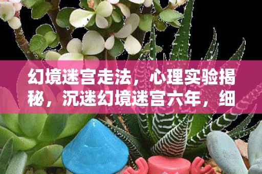 幻境迷宫走法，心理实验揭秘，沉迷幻境迷宫六年，细思极恐的自我麻醉