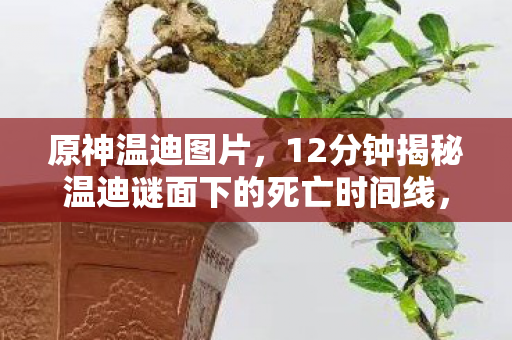 原神温迪图片,12分钟揭秘温迪谜面下的死亡时间线,当风神陨落时,谁在泪目? 原神温迪图片,12分钟揭秘温迪谜面下的死亡时间线,当风神陨落时,谁在泪目?
