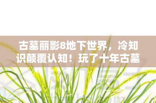 古墓丽影8地下世界,冷知识颠覆认知!玩了十年古墓丽影8,真相让我目瞪口呆 古墓丽影8地下世界,冷知识颠覆认知!玩了十年古墓丽影8,真相让我目瞪口呆
