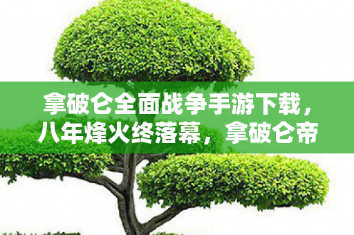 拿破仑全面战争手游下载,八年烽火终落幕,拿破仑帝国梦碎时,泪目告别! 拿破仑全面战争手游下载,八年烽火终落幕,拿破仑帝国梦碎时,泪目告别!