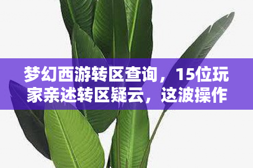 梦幻西游转区查询，15位玩家亲述转区疑云，这波操作真让人绷不住了！