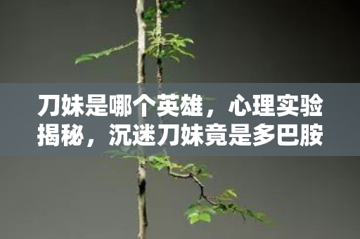 刀妹是哪个英雄,心理实验揭秘,沉迷刀妹竟是多巴胺陷阱?细思极恐! 刀妹是哪个英雄,心理实验揭秘,沉迷刀妹竟是多巴胺陷阱?细思极恐!