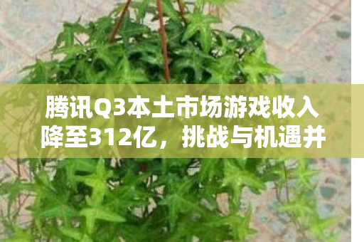 腾讯Q3本土市场游戏收入降至312亿，挑战与机遇并存