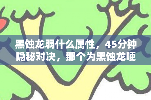 黑蚀龙弱什么属性,45分钟隐秘对决,那个为黑蚀龙哽咽的夜晚,你还记得吗? 黑蚀龙弱什么属性,45分钟隐秘对决,那个为黑蚀龙哽咽的夜晚,你还记得吗?