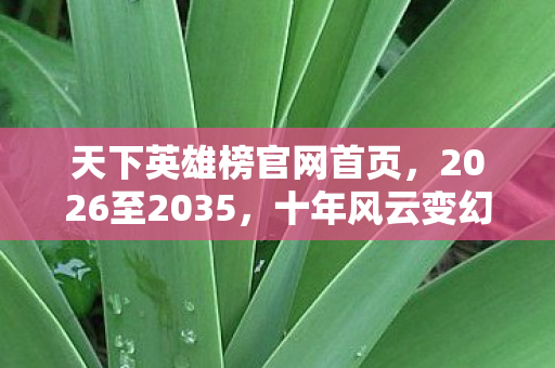 天下英雄榜官网首页,2026至2035,十年风云变幻,天下英雄榜藏着何等惊天秘密? 天下英雄榜官网首页,2026至2035,十年风云变幻,天下英雄榜藏着何等惊天秘密?