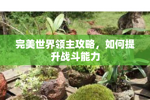 完美世界领主攻略，如何提升战斗能力