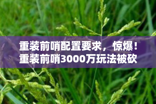 重装前哨配置要求,惊爆!重装前哨3000万玩法被砍,背后隐情让人吓一跳! 重装前哨配置要求,惊爆!重装前哨3000万玩法被砍,背后隐情让人吓一跳!