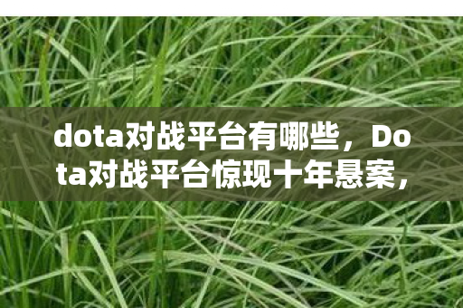 dota对战平台有哪些,Dota对战平台惊现十年悬案,神秘线索指向困兽玩家,真相毛骨悚然 dota对战平台有哪些,Dota对战平台惊现十年悬案,神秘线索指向困兽玩家,真相毛骨悚然