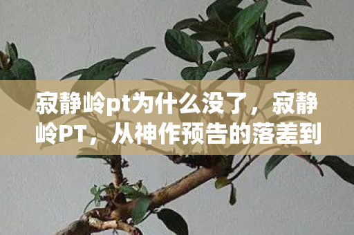寂静岭pt为什么没了,寂静岭PT,从神作预告的落差到真相,笑着笑着就哭了 寂静岭pt为什么没了,寂静岭PT,从神作预告的落差到真相,笑着笑着就哭了