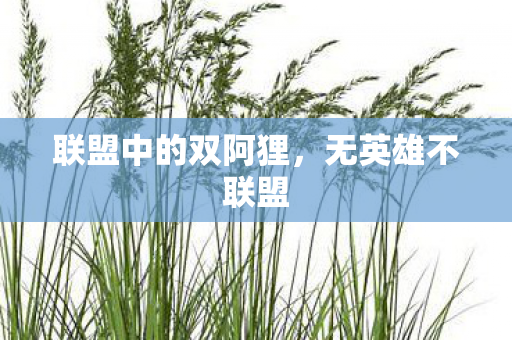 联盟中的双阿狸，无英雄不联盟