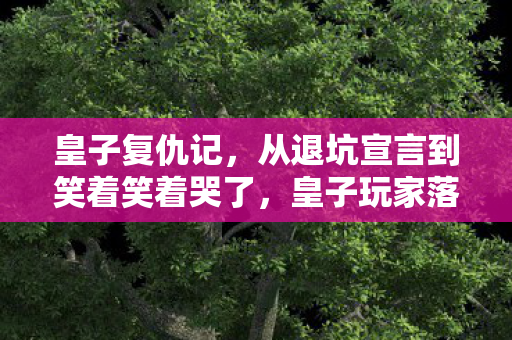 皇子复仇记,从退坑宣言到笑着笑着哭了,皇子玩家落差真相,心酸自知 皇子复仇记,从退坑宣言到笑着笑着哭了,皇子玩家落差真相,心酸自知