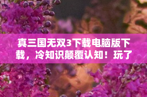 真三国无双3下载电脑版下载,冷知识颠覆认知!玩了十年真三3,真相让我目瞪口呆 真三国无双3下载电脑版下载,冷知识颠覆认知!玩了十年真三3,真相让我目瞪口呆