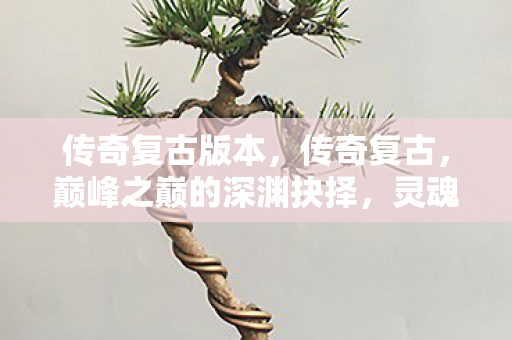 传奇复古版本，传奇复古，巅峰之巅的深渊抉择，灵魂震颤的悖论人生