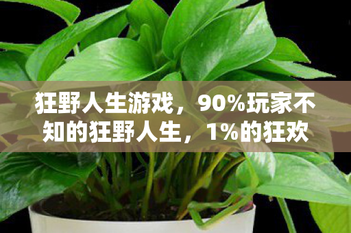 狂野人生游戏,90%玩家不知的狂野人生,1%的狂欢背后,藏着多少人的血泪真相? 狂野人生游戏,90%玩家不知的狂野人生,1%的狂欢背后,藏着多少人的血泪真相?