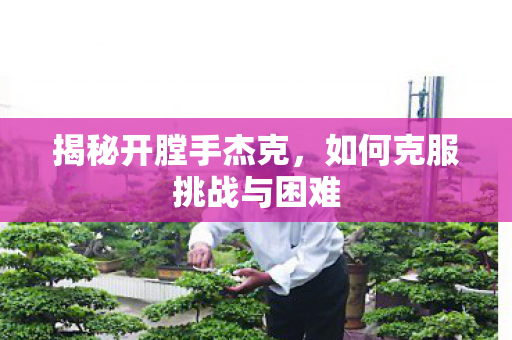 揭秘开膛手杰克,如何克服挑战与困难 揭秘开膛手杰克,如何克服挑战与困难