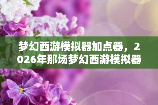 梦幻西游模拟器加点器，2026年那场梦幻西游模拟器的约定，伏笔成殇，鼻子一酸谁还在身旁？