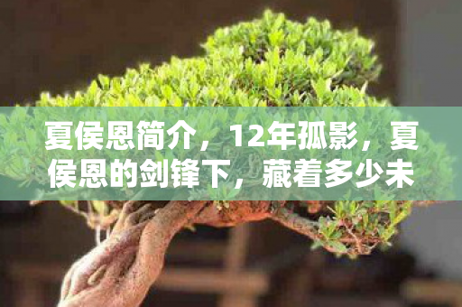 夏侯恩简介,12年孤影,夏侯恩的剑锋下,藏着多少未解谜团与泪目真相? 夏侯恩简介,12年孤影,夏侯恩的剑锋下,藏着多少未解谜团与泪目真相?