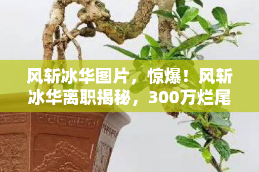风斩冰华图片,惊爆!风斩冰华离职揭秘,300万烂尾方案隐情,真相让人吓一跳! 风斩冰华图片,惊爆!风斩冰华离职揭秘,300万烂尾方案隐情,真相让人吓一跳!