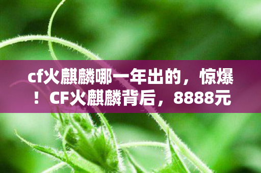 cf火麒麟哪一年出的，惊爆！CF火麒麟背后，8888元定价隐情，真相让你吓一跳！